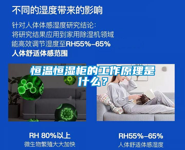 恒溫恒濕柜的工作原理是什么?