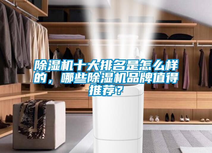 除濕機十大排名是怎么樣的，哪些除濕機品牌值得推薦？