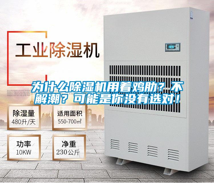 為什么除濕機(jī)用著雞肋?不解潮?可能是你沒(méi)有選對(duì)!