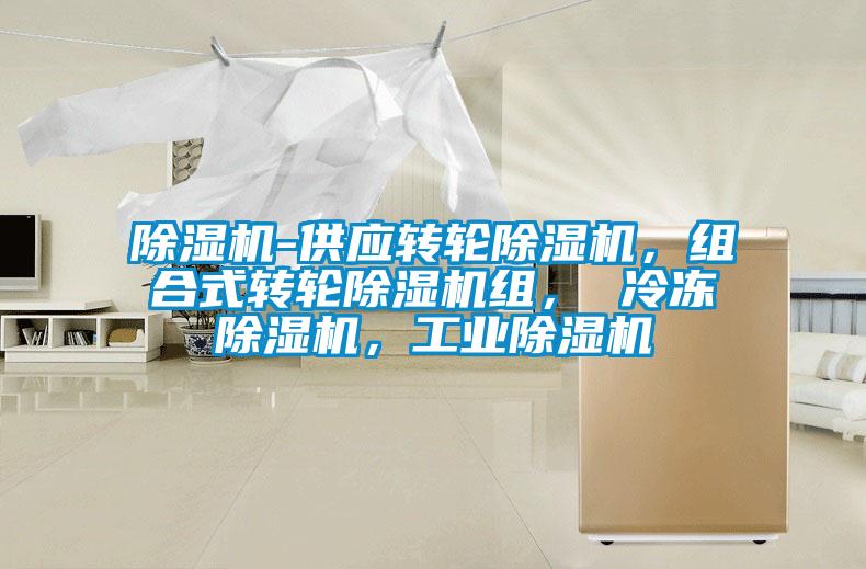 除濕機-供應轉輪除濕機,組合式轉輪除濕機組, 冷凍除濕機,工業除濕機