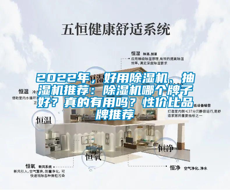 2022年，好用除濕機、抽濕機推薦：除濕機哪個牌子好？真的有用嗎？性價比品牌推薦