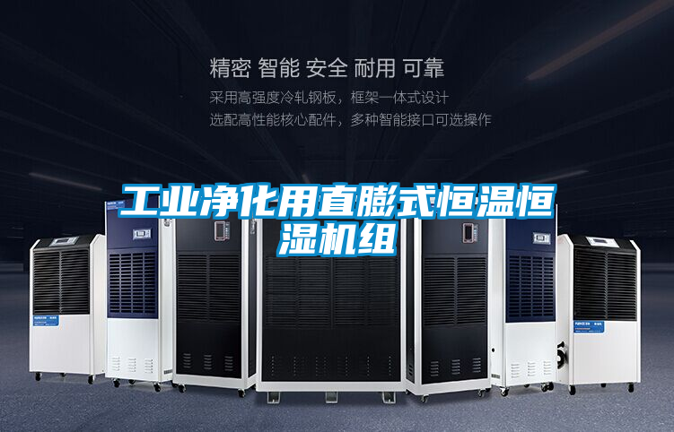 工業(yè)凈化用直膨式恒溫恒濕機組