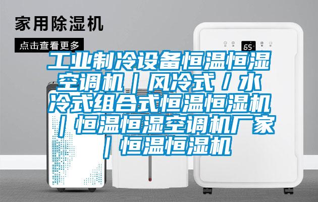 工業制冷設備恒溫恒濕空調機|風冷式/水冷式組合式恒溫恒濕機|恒溫恒濕空調機廠家|恒溫恒濕機