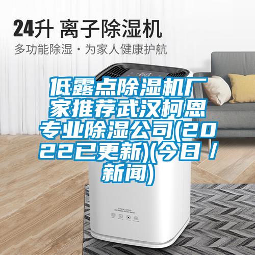 低露點除濕機廠家推薦武漢柯恩專業除濕公司(2022已更新)(今日/新聞)