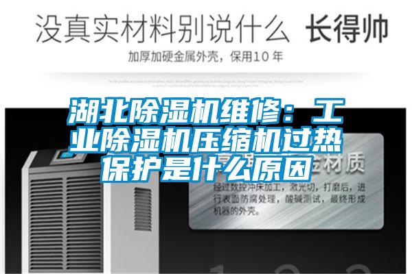 湖北除濕機維修:工業除濕機壓縮機過熱保護是什么原因