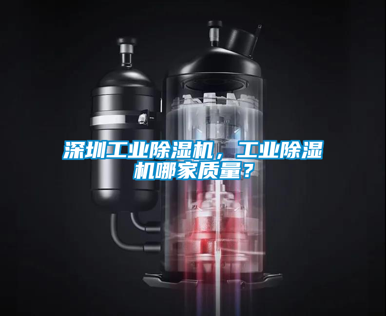 深圳工業(yè)除濕機，工業(yè)除濕機哪家質(zhì)量？