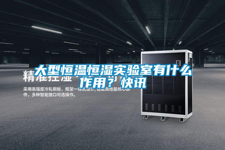 大型恒溫恒濕實(shí)驗(yàn)室有什么作用？快訊