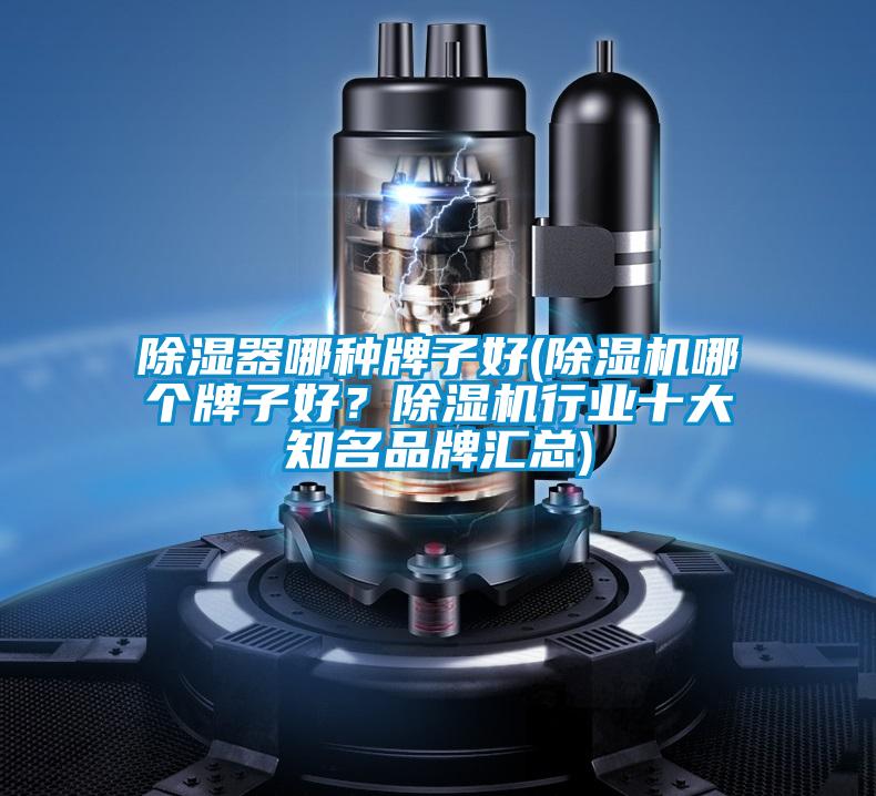 除濕器哪種牌子好(除濕機哪個牌子好？除濕機行業(yè)十大知名品牌匯總)