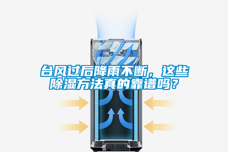 臺(tái)風(fēng)過后降雨不斷,這些除濕方法真的靠譜嗎?