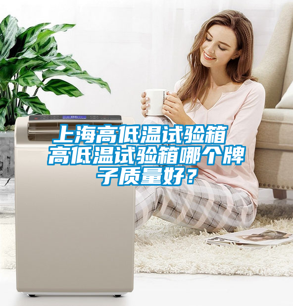 上海高低溫試驗(yàn)箱 高低溫試驗(yàn)箱哪個牌子質(zhì)量好?