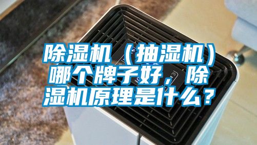 除濕機(jī)（抽濕機(jī)）哪個牌子好，除濕機(jī)原理是什么？