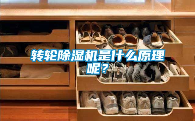轉(zhuǎn)輪除濕機是什么原理呢？