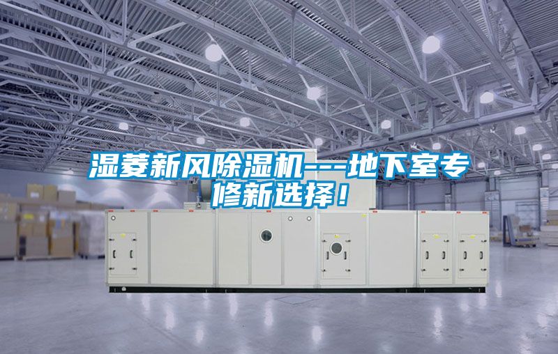 濕菱新風(fēng)除濕機(jī)---地下室專(zhuān)修新選擇!