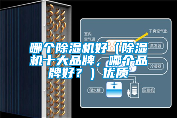 哪個除濕機好（除濕機十大品牌，哪個品牌好？）優質