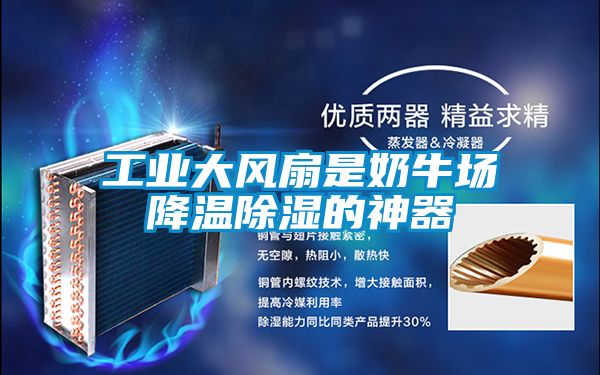 工業(yè)大風(fēng)扇是奶牛場(chǎng)降溫除濕的神器