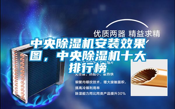 中央除濕機安裝效果圖，中央除濕機十大排行榜