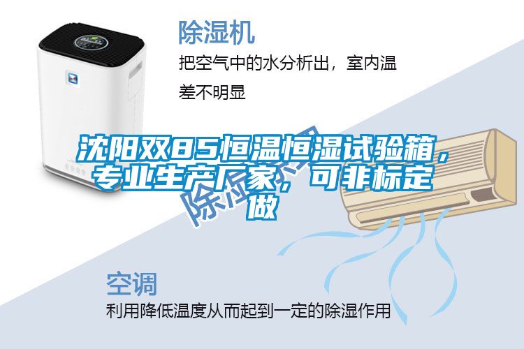 沈陽雙85恒溫恒濕試驗箱，專業(yè)生產(chǎn)廠家，可非標(biāo)定做