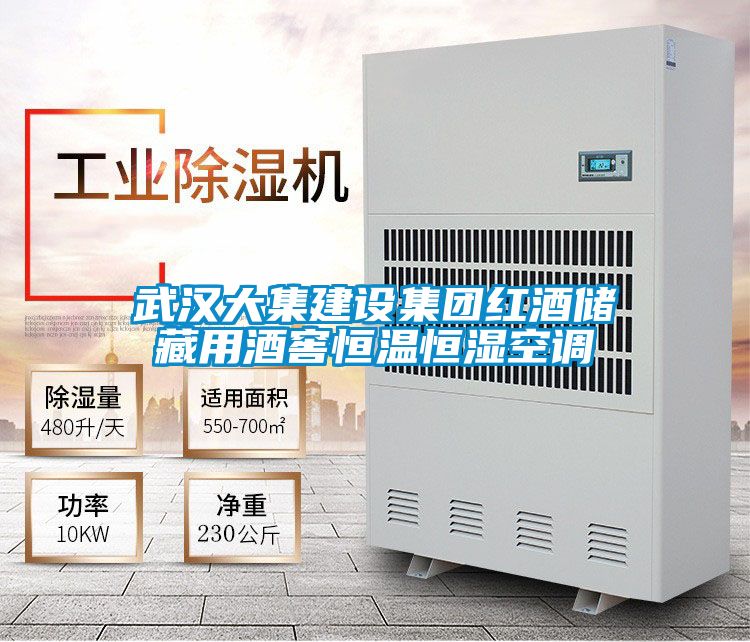 武漢大集建設(shè)集團(tuán)紅酒儲(chǔ)藏用酒窖恒溫恒濕空調(diào)