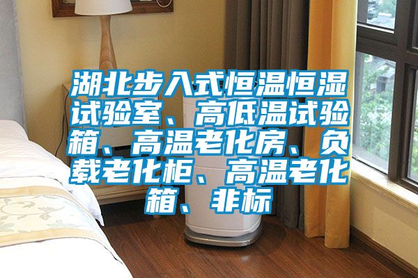 湖北步入式恒溫恒濕試驗室、高低溫試驗箱、高溫老化房、負載老化柜、高溫老化箱、非標