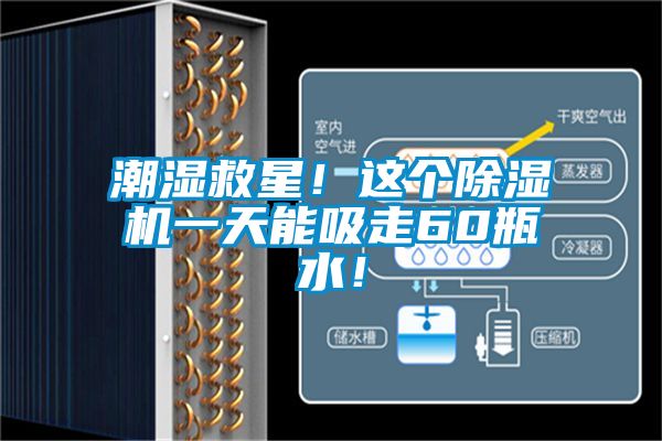 潮濕救星!這個除濕機一天能吸走60瓶水!
