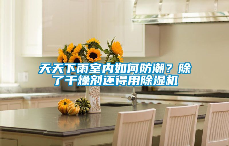 天天下雨室內(nèi)如何防潮？除了干燥劑還得用除濕機