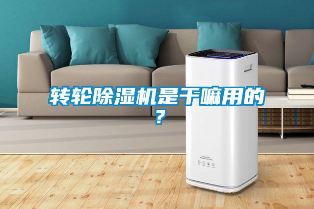 轉(zhuǎn)輪除濕機(jī)是干嘛用的？