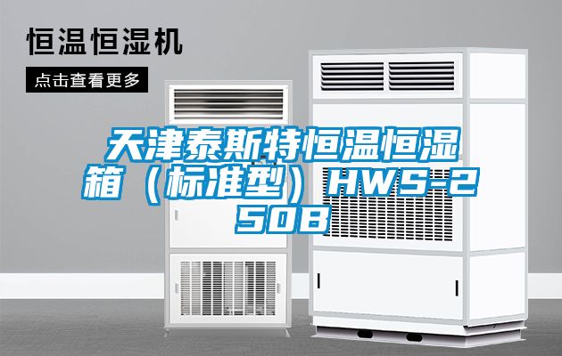 天津泰斯特恒溫恒濕箱(標準型)HWS-250B