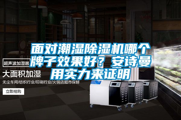 面對(duì)潮濕除濕機(jī)哪個(gè)牌子效果好？安詩曼用實(shí)力來證明