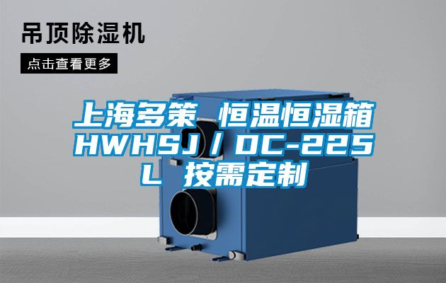 上海多策 恒溫恒濕箱HWHSJ/DC-225L 按需定制