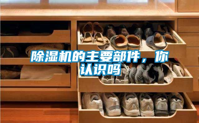除濕機的主要部件，你認識嗎
