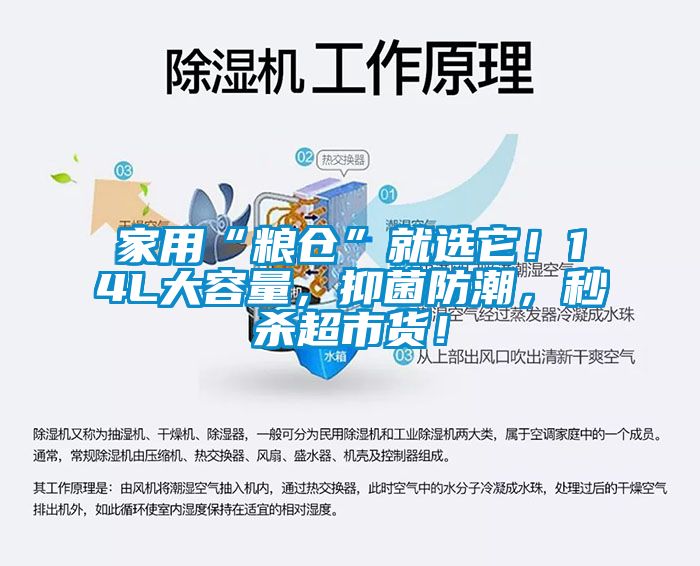 家用“糧倉(cāng)”就選它！14L大容量，抑菌防潮，秒殺超市貨！