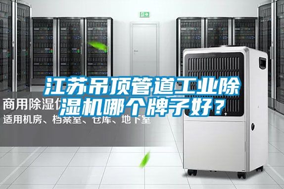 江蘇吊頂管道工業除濕機哪個牌子好？