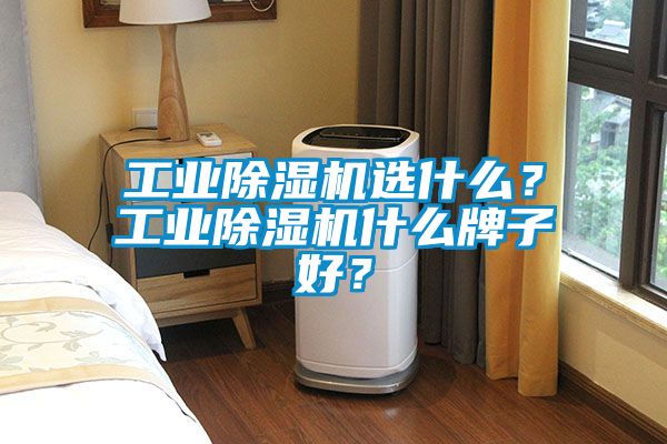 工業(yè)除濕機選什么?工業(yè)除濕機什么牌子好?
